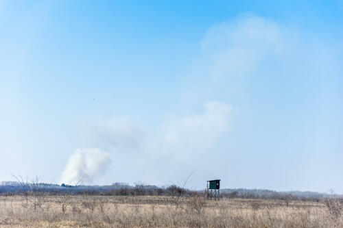 Forest fires towards border